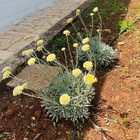 Dimora Bianchemura Ostuni Esterno foto