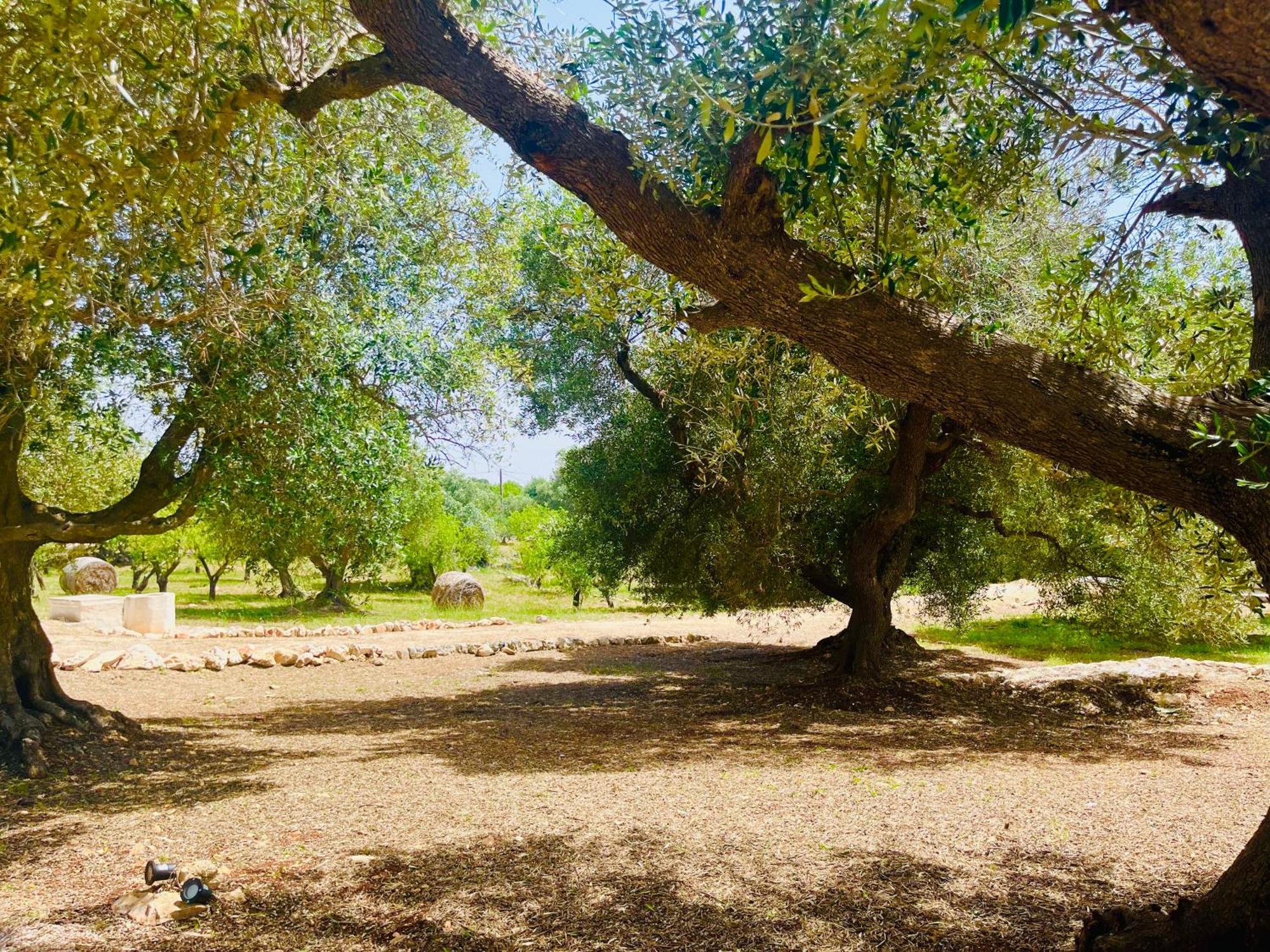 Dimora Bianchemura Ostuni Esterno foto