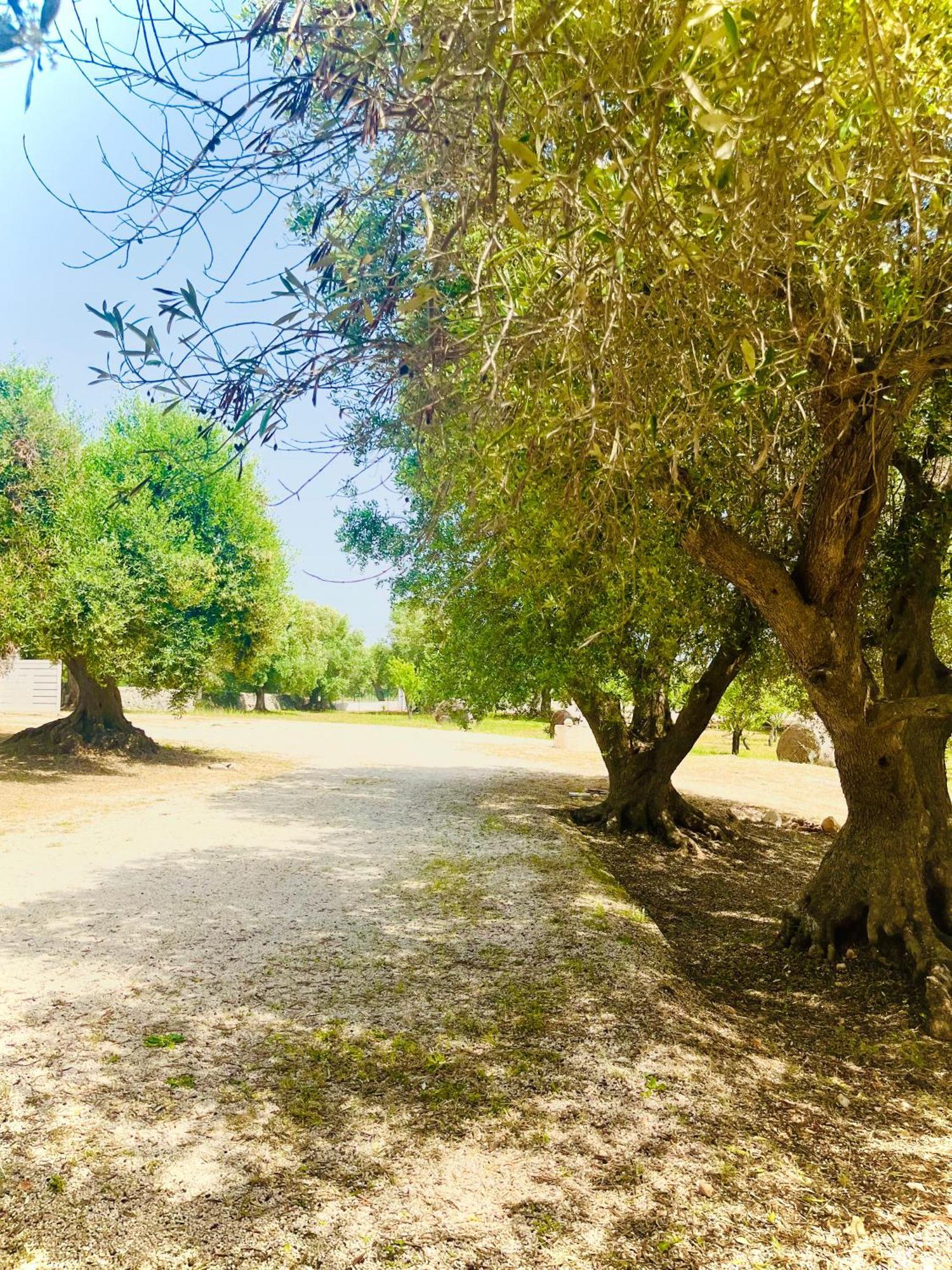 Dimora Bianchemura Ostuni Esterno foto